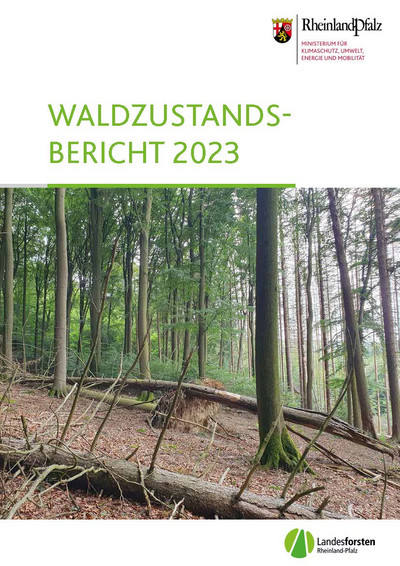 Titelblatt Waldzustandsbericht 2023