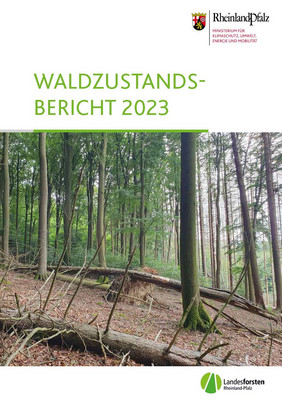Titelblatt Waldzustandsbericht 2023